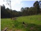 LOT 243 FLORABUNDA LANE, Nethercote NSW 2549