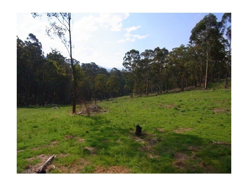 LOT 243 FLORABUNDA LANE, Nethercote NSW 2549
