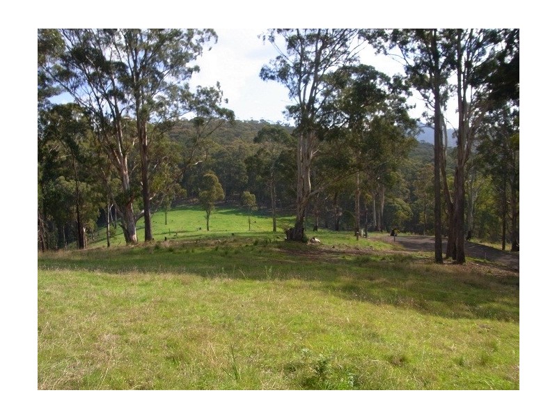 LOT 244 FLORABUNDA LANE, Nethercote NSW 2549