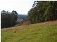 LOT 244 FLORABUNDA LANE, Nethercote NSW 2549