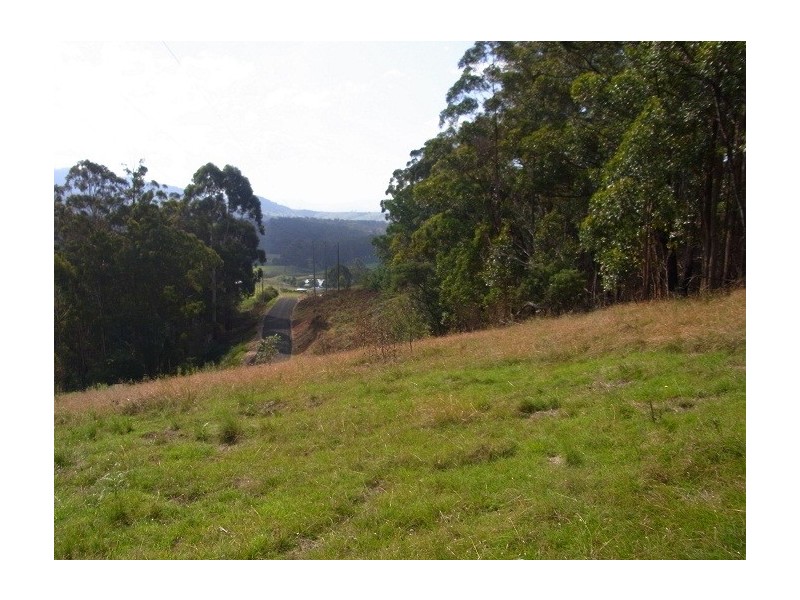 LOT 244 FLORABUNDA LANE, Nethercote NSW 2549