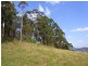 LOT 244 FLORABUNDA LANE, Nethercote NSW 2549
