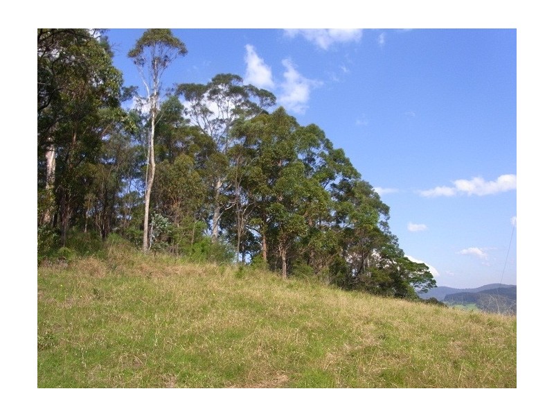 LOT 244 FLORABUNDA LANE, Nethercote NSW 2549