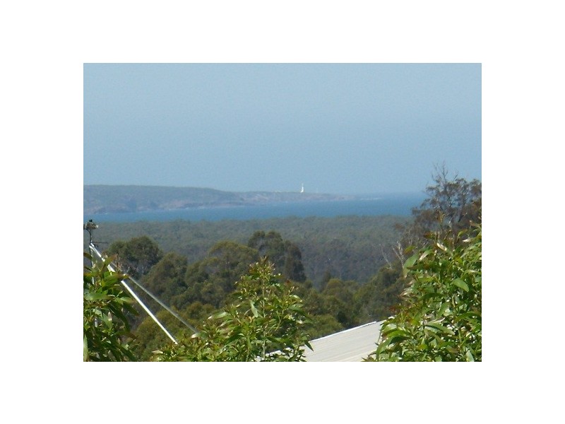 16 ADELAIDE AVENUE, Wonboyn NSW 2551