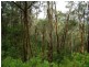 LOT 196 MT DARRAGH ROAD, Wyndham NSW 2550