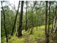 LOT 196 MT DARRAGH ROAD, Wyndham NSW 2550