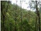 LOT 196 MT DARRAGH ROAD, Wyndham NSW 2550