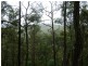 LOT 196 MT DARRAGH ROAD, Wyndham NSW 2550