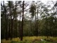 LOT 196 MT DARRAGH ROAD, Wyndham NSW 2550