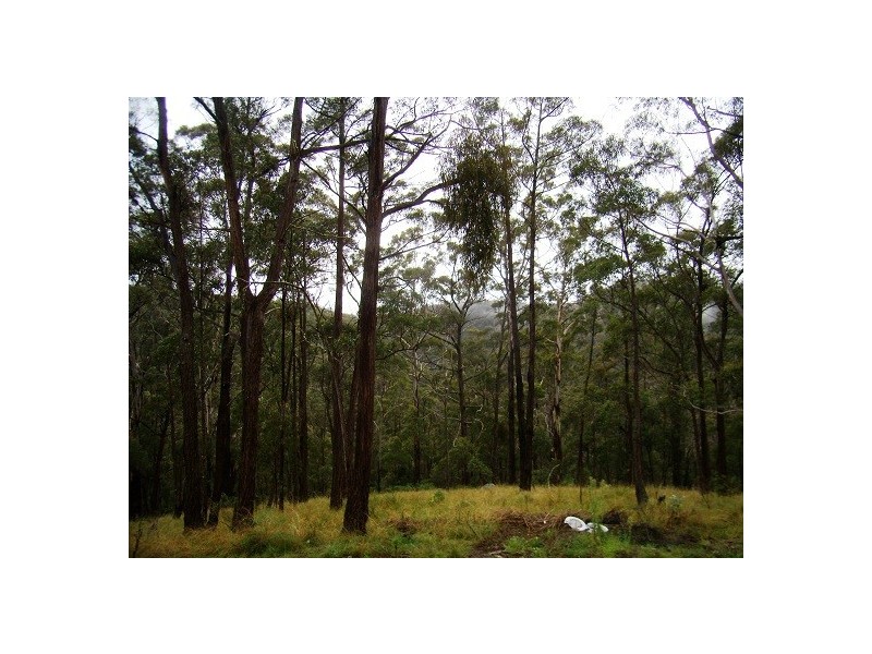 LOT 196 MT DARRAGH ROAD, Wyndham NSW 2550