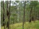 LOT 196 MT DARRAGH ROAD, Wyndham NSW 2550