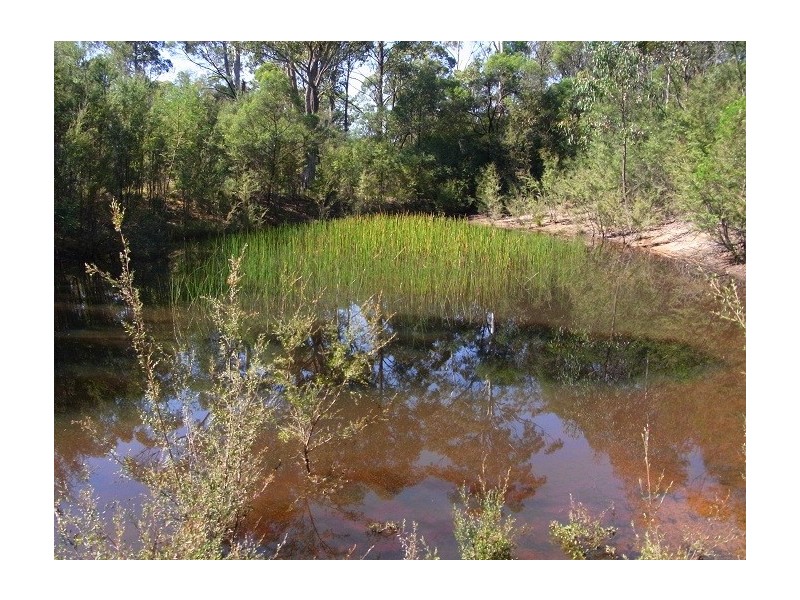 52 MCDONALD ROAD, Towamba NSW 2550