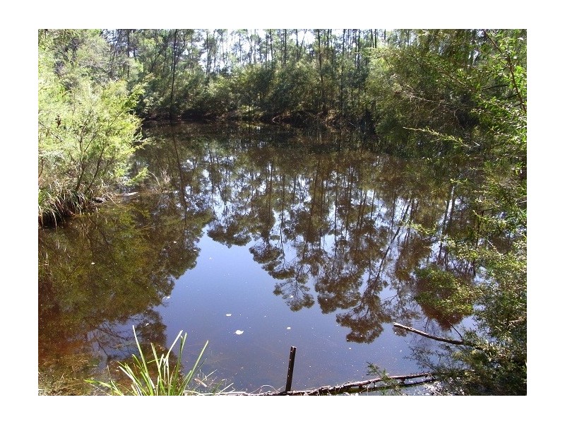 52 MCDONALD ROAD, Towamba NSW 2550