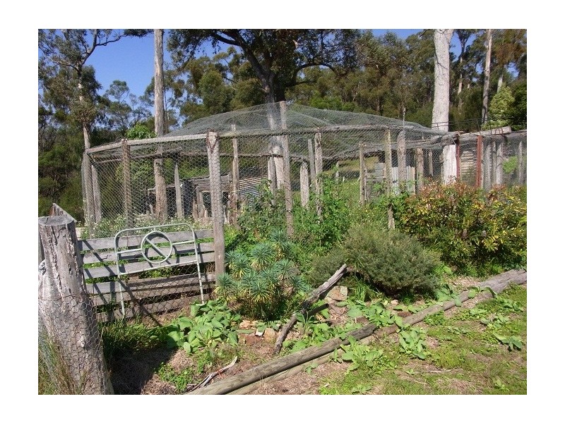 52 MCDONALD ROAD, Towamba NSW 2550