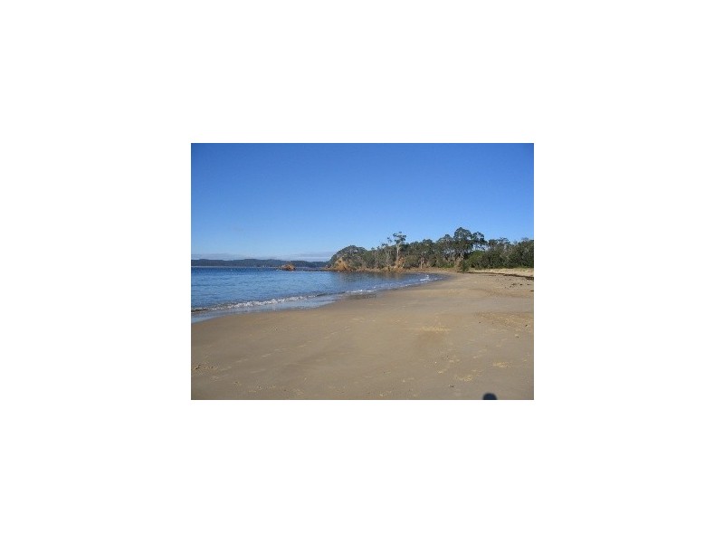 21 Andrea St, Eden NSW 2551