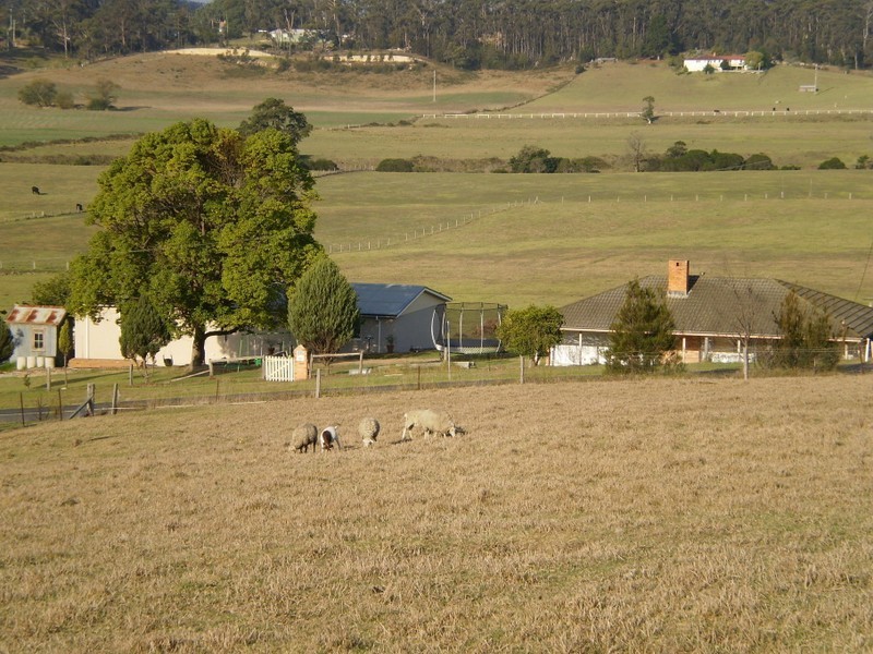 89 NETHERCOTE ROAD, Greigs Flat NSW 2549