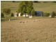 89 NETHERCOTE ROAD, Greigs Flat NSW 2549