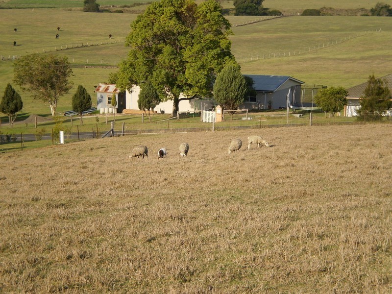 89 NETHERCOTE ROAD, Greigs Flat NSW 2549