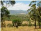 135 MANNING STREET, Towamba NSW 2550