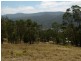 135 MANNING STREET, Towamba NSW 2550