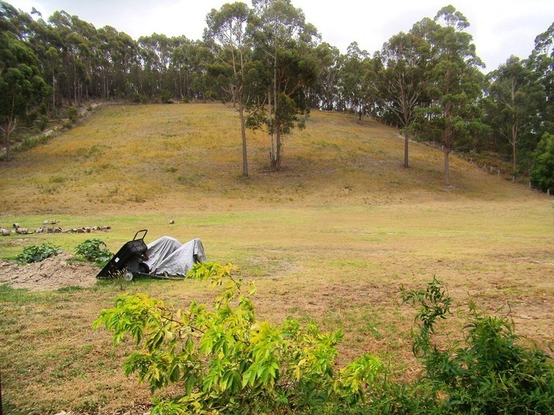 40 BALLANTYNE ROAD, Nethercote NSW 2549