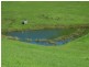 1754 BOGGY CREEK ROAD, Millingandi NSW 2549