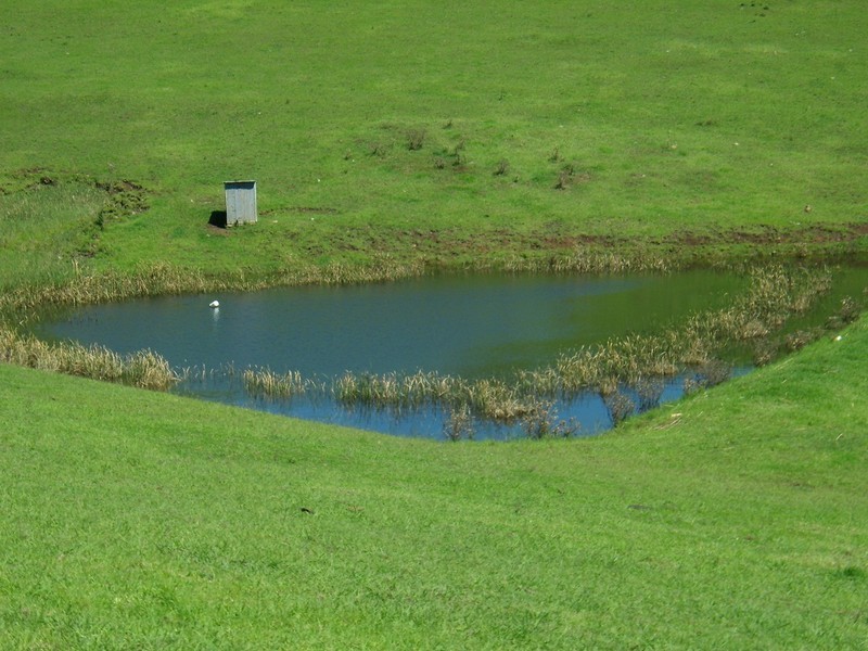 1754 BOGGY CREEK ROAD, Millingandi NSW 2549