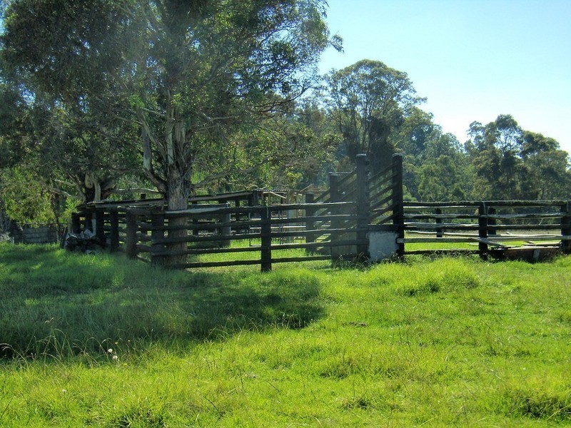 243 MT DARRAGH ROAD, South Pambula NSW 2549