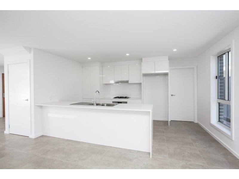 11 Cowries Avenue, Shell Cove NSW 2529