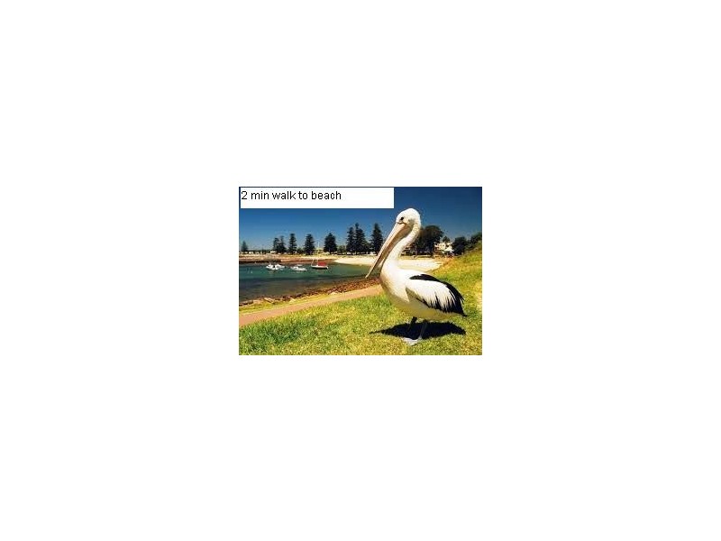 5 Towns Street, Shellharbour NSW 2529