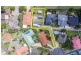 13 Penrose Street, Blackbutt NSW 2529