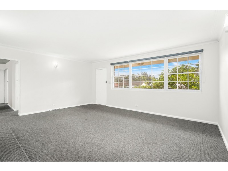 25 Roberts Avenue, Barrack Heights NSW 2528
