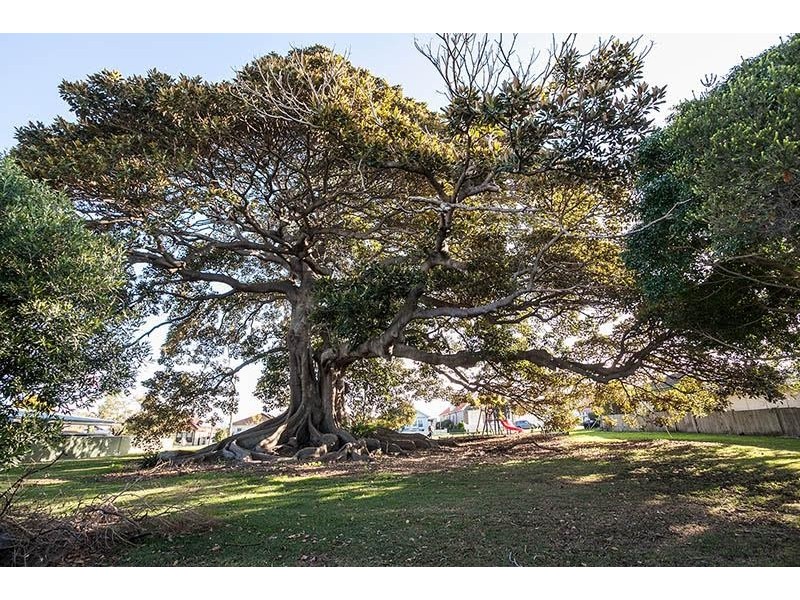 2/55 Wentworth Street, Shellharbour NSW 2529