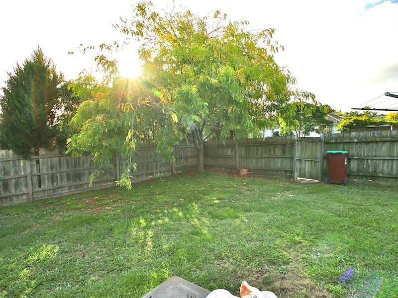 139 Bemersyde Drive, Berwick VIC 3806