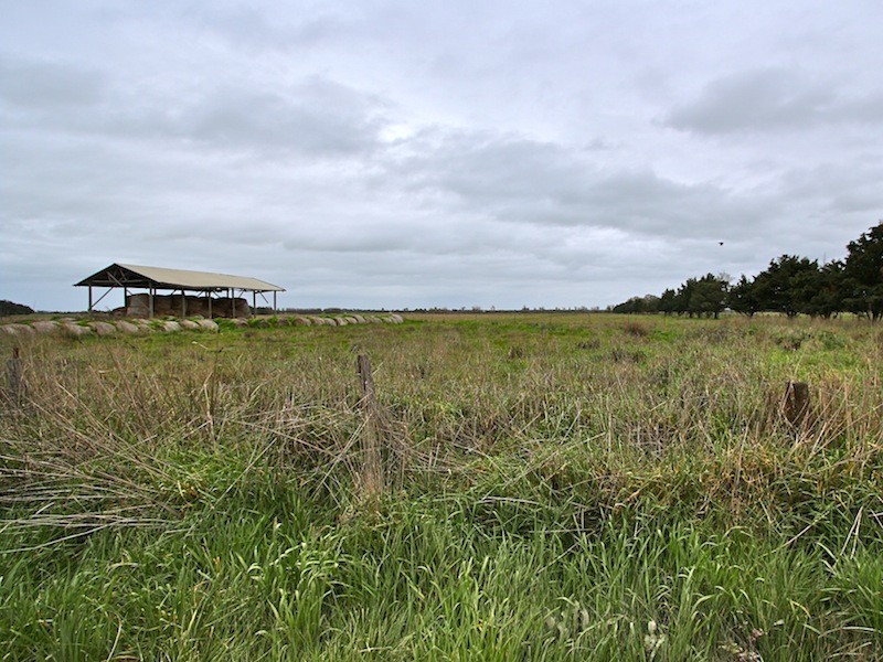 445 McGregor Road, Pakenham VIC 3810