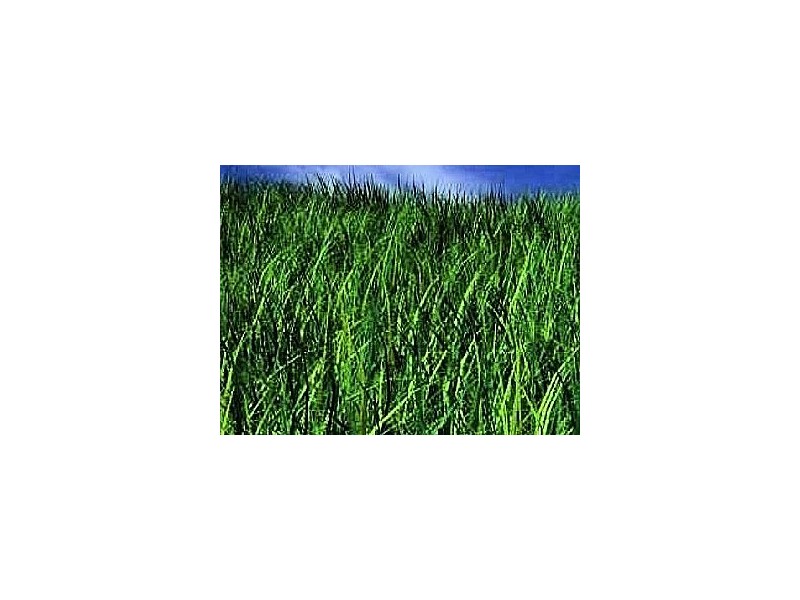 Lot 1219 Chantenay Parade, Cranbourne North VIC 3977