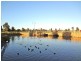 Cranbourne East VIC 3977