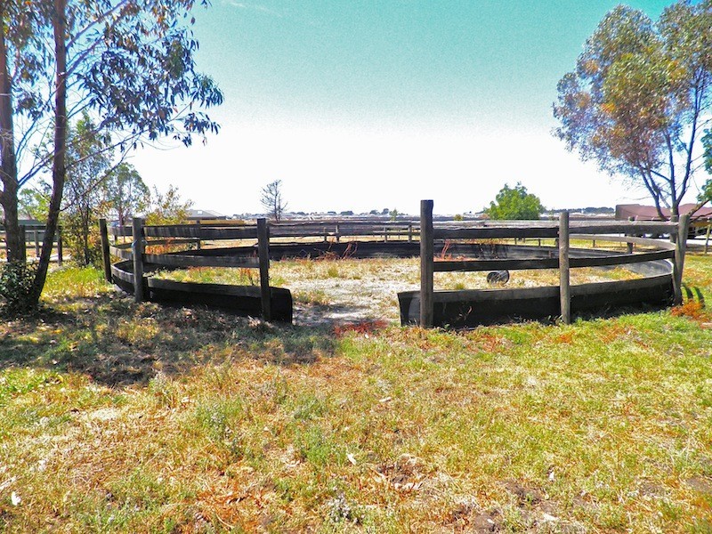 42 Collison Road, Cranbourne East VIC 3977