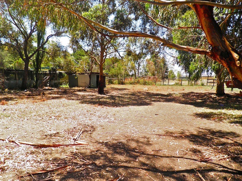 42 Collison Road, Cranbourne East VIC 3977