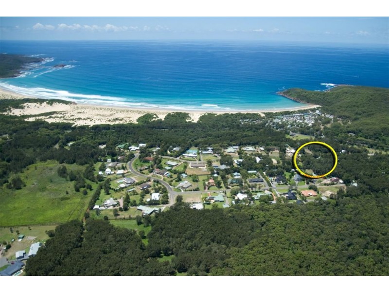 24 Eucalyptus Drive, One Mile NSW 2316