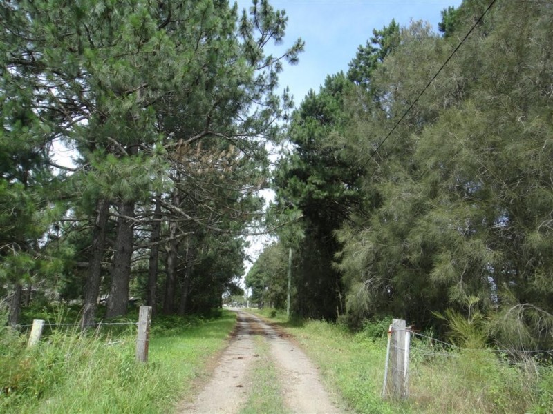 Williamtown NSW 2318