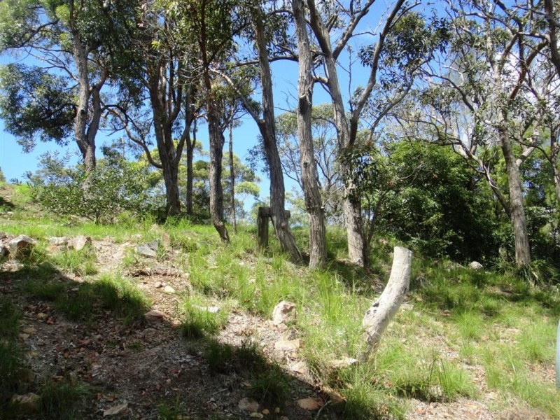 7 Scott Circuit, Salamander Bay NSW 2317