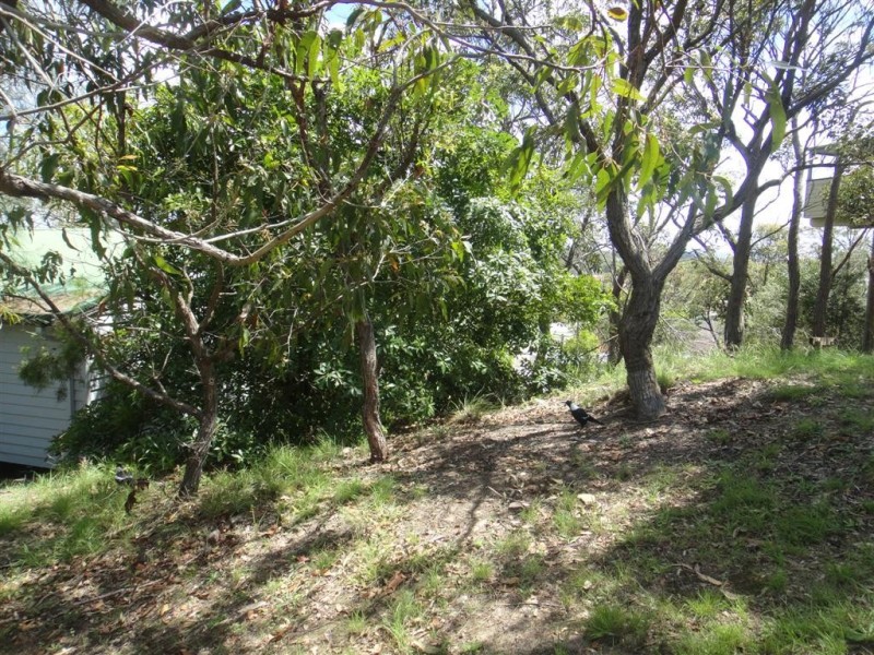 7 Scott Circuit, Salamander Bay NSW 2317