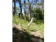7 Scott Circuit, Salamander Bay NSW 2317