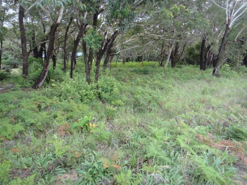 73 Blanch Street, Boat Harbour NSW 2316