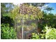 45 Parkes Street, Nelson Bay NSW 2315