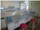 94 Francis Avenue, Lemon Tree Passage NSW 2319