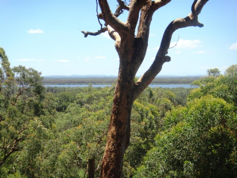 3439 Nelson Bay Road, Bobs Farm NSW 2316