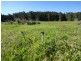 3908 Nelson Bay Road, Bobs Farm NSW 2316
