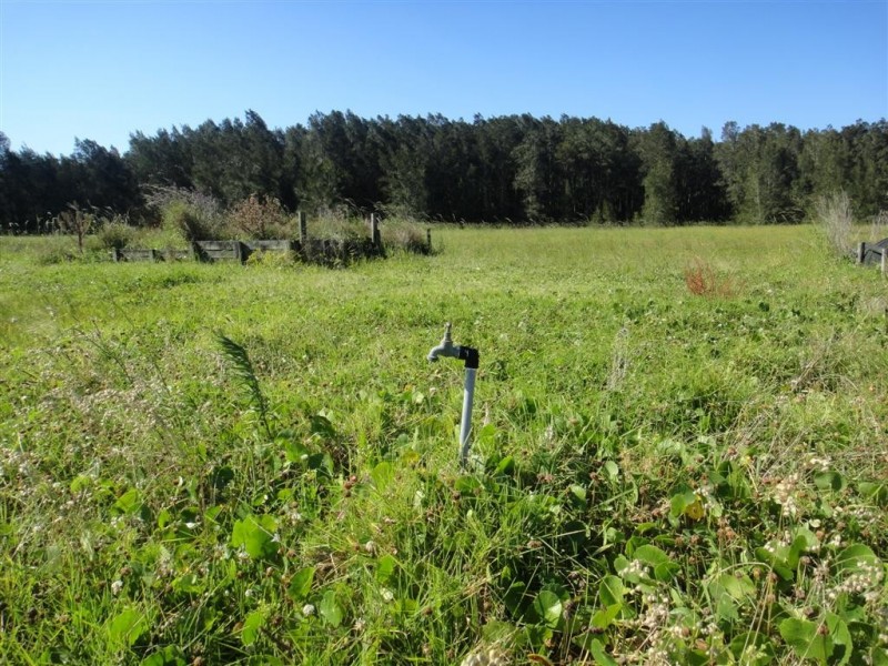 3908 Nelson Bay Road, Bobs Farm NSW 2316
